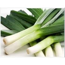 PORRO LUNGO D'INVERNO 2 - 300 SEMI